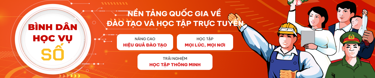 Bình dân học vụ số